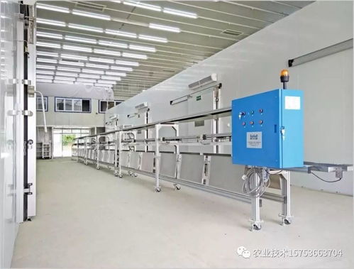 蔬菜工廠化生產(chǎn) 科技時(shí)代下的農(nóng)業(yè)變革與科技中介服務(wù)